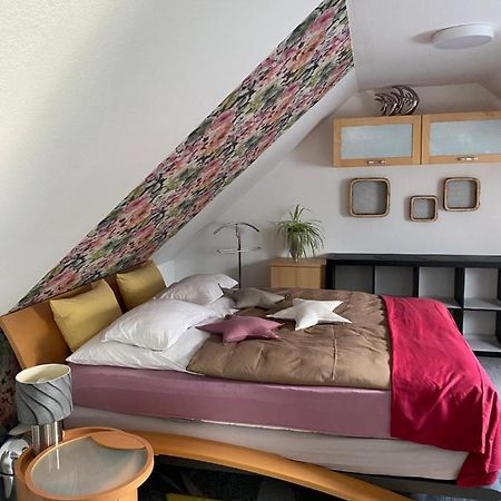 Villa Kuntabunt Sudermarsch エクステリア 写真